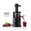 SJV-150B Slowjuicer